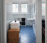 Pračka s košem a umyvadlo v 2-pokojovém bytě s modrou dlažbou.