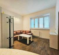 Garsonka s pohovkou, stolkem a podlahou s dřevěným dekorem.