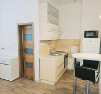 Garsonka s kuchyňským koutem, barovým pultem a podlahou s dřevěným dekorem.