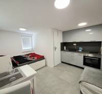 Kuchyňský kout a lůžko v chatě s obkladem šedé barvy a vybavením.