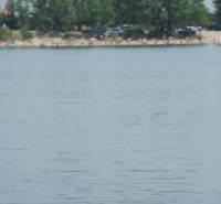 Logo realitní společnosti Grenton s výhledem na vodní plochu u pobřeží.