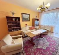 Obývací pokoj v 2pokojovém bytě s podlahou s dřevěným dekorem a kobercem.