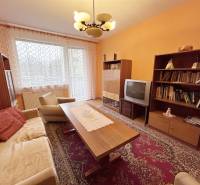 Obývací pokoj v 2-pokojovém bytě s podlahou s dřevěným dekorem a retro nábytkem.