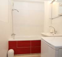 Koupelna s vanou, umyvadlem a pračkou v 1-pokojovém bytě.