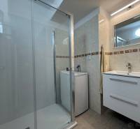 Koupelna v 2-pokojovém bytě s umyvadlem, sprchovým koutem a pračkou.