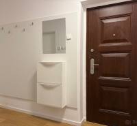 Vstupní hala ve 2-pokojovém bytě s tmavými dveřmi a podlahou s dřevěným dekorem.