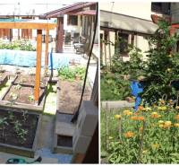 Rodinný dům na Laborecké ve Spišské Nové Vsi s udržovanou zahradou a květinami.