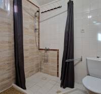 Koupelna v rodinném domě s jednoduchým sprchovým koutem a světlými obklady.