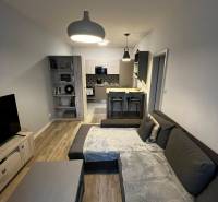 Obývací pokoj s kuchyní v 2pokojovém bytě, šedá sedačka, podlaha s dřevěným dekorem.