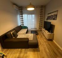 Obývací pokoj v 2-pokojovém bytě s pohodlnou sedačkou a podlahou s dřevěným dekorem.