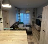 Obývací pokoj v 2pokojovém bytě s pohovkou, stolem a podlahou s dřevěným dekorem.