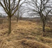 Pozemek na bydlení v Dubníku na Dubnícké ulici, obklopený stromy a travnatým porostem.