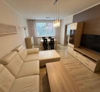 Obývací pokoj s podlahou s dřevěným dekorem, velkou pohovkou a jídelním stolem ve 3-pokojovém bytě.