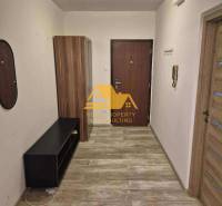 Útulná předsíň v 3-pokojovém bytě s podlahou s dřevěným dekorem a skříňkou.