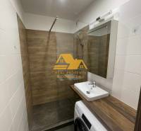 Koupelna v 1-pokojovém bytě s umyvadlem, sprchovým koutem a pračkou, dřevěný dekor.