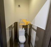 Toaleta s dlažbou a obklady v 1-pokojovém bytě, skrytý ventilační systém.