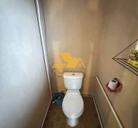 Koupelna v rodinném domě s toaletou, sprchou a hnědými obklady.