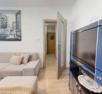 Obývací pokoj v 3-pokojovém bytě s rohovou sedačkou a podlahou s dřevěným dekorem.