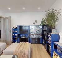 Obývací pokoj s pohovkou, modrou obývací stěnou a podlahou s dřevěným dekorem ve 3pokojovém bytě.