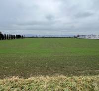 Pozemky - komerční v Pruském se zeleným porostem, stromořadím a průmyslovými budovami v pozadí.