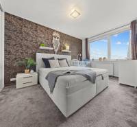 Ložnice v 2pokojovém bytě s manželskou postelí, kobercovou podlahou a dekorativní stěnou.