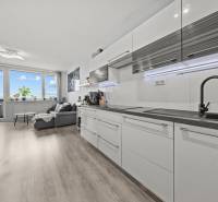 Kuchyně a obývací pokoj v 2pokojovém bytě s podlahou s dřevěným dekorem.