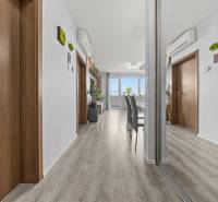 Interiér 2-pokojového bytu s podlahou s dřevěným dekorem, zrcadlem a klimatizací.