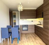 Kuchyně v 3-pokojovém bytě s jídelním stolem, moderním osvětlením a podlahou s dřevěným dekorem.