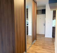 Vstupní hala 3pokojového bytu s podlahou s dřevěným dekorem a zrcadlovou skříní.