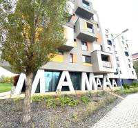 Budova s nápisem a stromem na ulici Nejedlého v Bratislavě - Dúbravce.