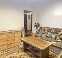 Obývací pokoj v dvoupokojovém bytě s dřevěnou komodou a vzorovaným kobercem.