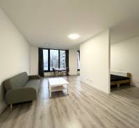 1+kk byt s podlahou s dřevěným dekorem, sedačkou a jídelním koutem.