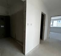 WhatsApp Image 2025-08-11 at 16.28.15 (7).jpeg