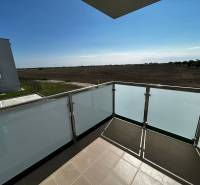 WhatsApp Image 2025-08-11 at 16.28.14 (1).jpeg