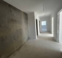 WhatsApp Image 2025-08-11 at 16.28.15 (2).jpeg