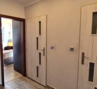 Chodba s dveřmi ve 2-pokojovém bytě, podlaha s dřevěným dekorem, pokoj nalevo.