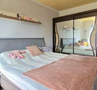 Ložnice v dvoupokojovém bytě se zrcadlovou skříní a čalouněnou postelí.