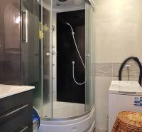 Koupelna v 2-pokojovém bytě se sprchovým koutem a pračkou, dlaždice s dřevěným dekorem.