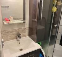 Koupelna v 2-pokojovém bytě s umyvadlem a sprchovým koutem, dekorativní obklad na stěně.