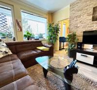 Obývací pokoj v 1-pokojovém bytě s hnědou sedačkou a podlahou s dřevěným dekorem.