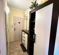 Útulná chodba s nábytkem a vzorovanou dlažbou v 1-pokojovém bytě.