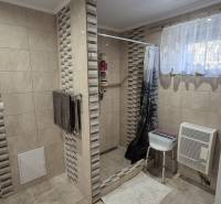 Koupelna v rodinném domě s obkladem a sprchovým koutem, dekorovaná květinami.