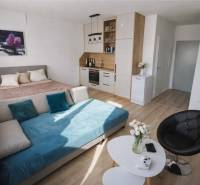 1-pokojový byt s postelí, gaučem, kuchyňskou linkou a podlahou s dřevěným dekorem.