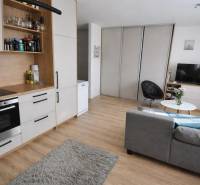 Interiér 1-pokojového bytu s šedou sedačkou, kuchyňskou linkou a podlahou s dřevěným dekorem.