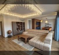 Obývací pokoj v rekreačním apartmánu s podlahou s dřevěným dekorem, pohovkou a závěsnými světly.