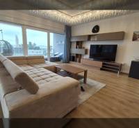 Obývací pokoj v rekreačním apartmánu s pohovkou a podlahou s dřevěným dekorem.