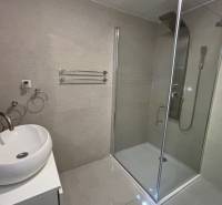 Koupelna v rodinném domě s umyvadlem, sprchovým koutem a držáky na ručníky.