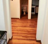 3pokojový byt s podlahou v dřevěném dekoru, oblouk, toaleta a kuchyň v pozadí.