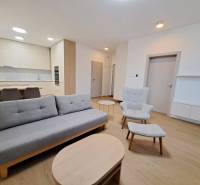 Stylový obývací prostor v 2pokojovém bytě s podlahou s dřevěným dekorem.