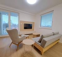 Obývací pokoj v 2-pokojovém bytě s podlahou s dřevěným dekorem, šedou sedačkou a pohodlným křeslem.